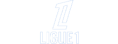 L1.png
